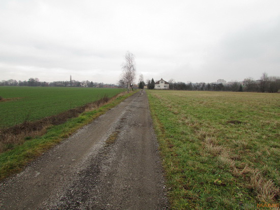 Canon PowerShot SX500 IS: fotící stroj času