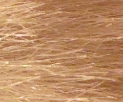 Canon PowerShot G10: stále mezi nejlepšími