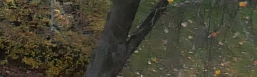 Panasonic Lumix LX100 II: postřehy z praxe