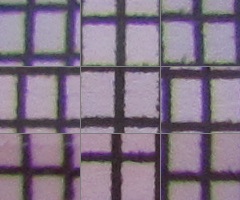 Canon PowerShot SX120 IS: zraje jako víno