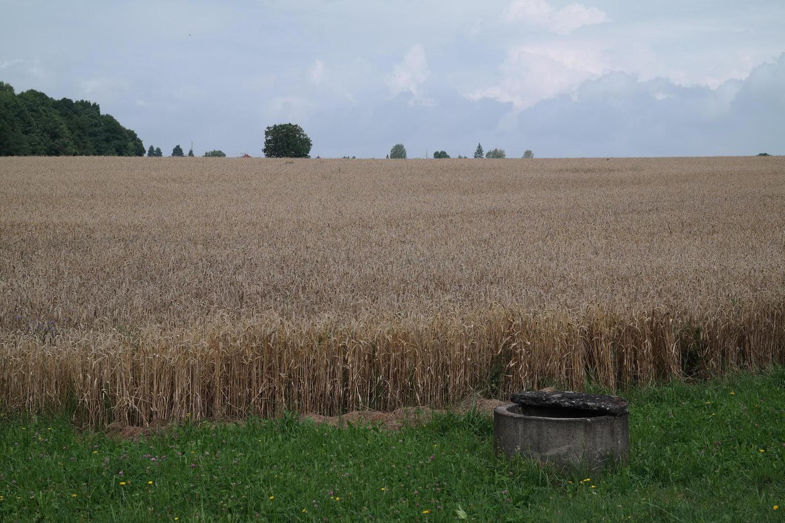 Samsung 16-50mm F2.0-2.8 S ED OIS