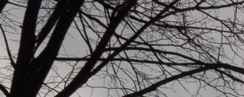 Panasonic Leica DG Vario-Summilux 10-25mm F1.7 ASPH.