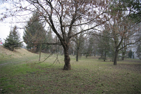 Srovnání 2 objektivů: profesionální Sigma vs. setový Canon