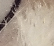 Sony A7R II (ILCE-7RM2): detaily na druhou