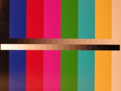 Nikon Coolpix P5100: trpělivý profesionál