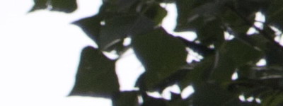 Nikon 18-55mm f/3,5-5,6G AF-S DX VR