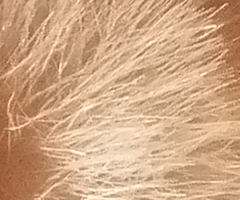 Fujifilm FinePix F300EXR: klame tělem