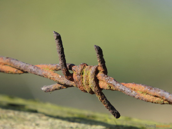 Canon PowerShot SX50 HS: překvapivá kombinace