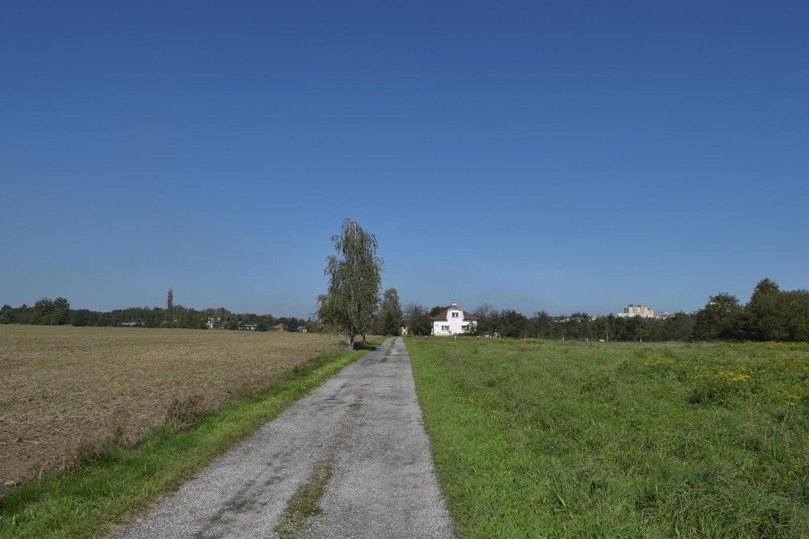 Nikon D3300: drobek se silným srdcem