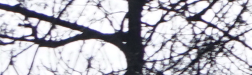 Sony FE 28-70mm F3.5-5.6 OSS (SEL2870)