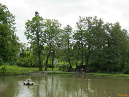 Canon PowerShot A800: šikula za pár stovek