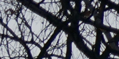 Sony DT 16-50mm F2.8 SSM