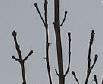 SP-350: Malý osmimegový černoušek