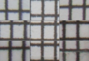 Sony Carl Zeiss Vario-Tessar T* 16-70mm F4 OSS (SEL1670Z)