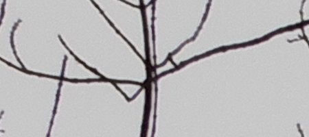 Nikon Coolpix A900: 4K do kapsy