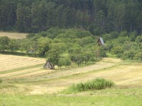 Acer CP-8660: zajímavý rebrand