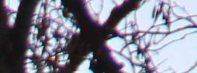 Megatest ultrazoomových objektivů