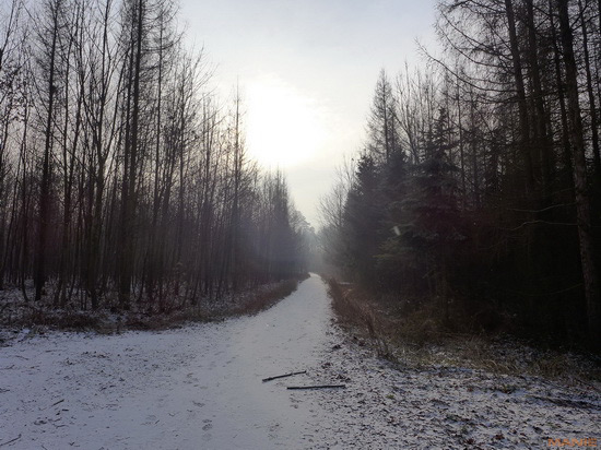 Panasonic Lumix LX7: kompaktní hvězda noci