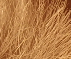 Samsung NX100: "zrcadlovka" do kapsy