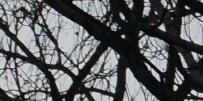 Sony DT 16-50mm F2.8 SSM