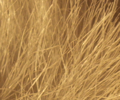 Samsung NX100: "zrcadlovka" do kapsy