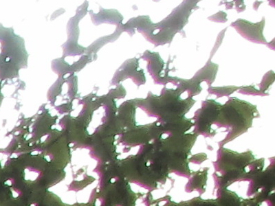 Canon PowerShot SX210 IS: s překvapivou zbraní