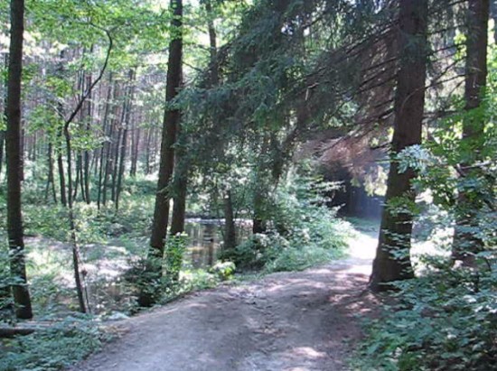 Canon PowerShot S2 IS: dvanáctinásobné oko Canonovo