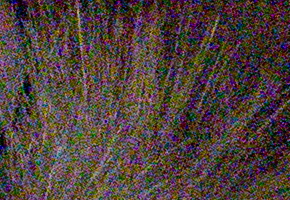 Nikon D600: vynikající vstup do světa full frame