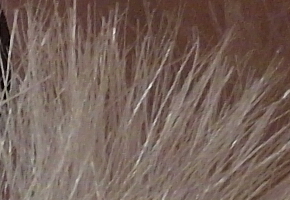 Samsung EX2F: významný krok vpřed