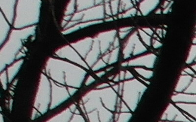 Samsung WB750: splnil očekávání?