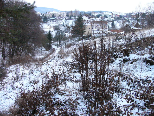 Panasonic Lumix DMC-FZ2: Dvoumegové EVFko s excelentní optikou