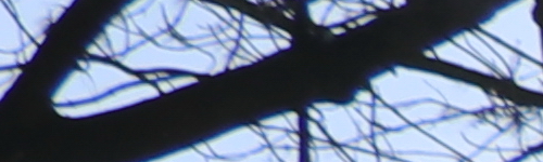 Canon EF-S 18-135mm f/3.5-5.6 IS Nano USM