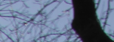 Megatest ultrazoomových objektivů