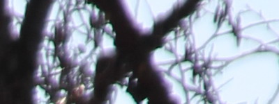 Megatest ultrazoomových objektivů