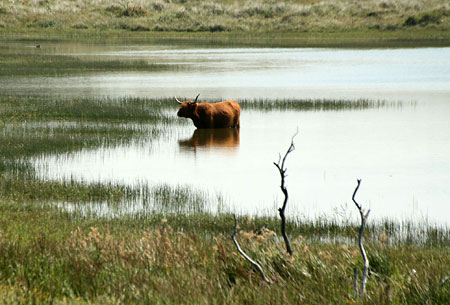 S fotoaparátem po Holandsku: III.