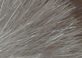 Samsung WB210: dotkněte se 21 milimetrů!