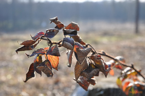 Postačí setový objektiv? Nikon vs. Sigma a Tamron