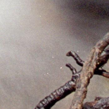 Minolta DiMAGE Dual Scan III: Profík za amatérskou cenu!