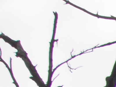 Canon PowerShot S90: malý zázrak