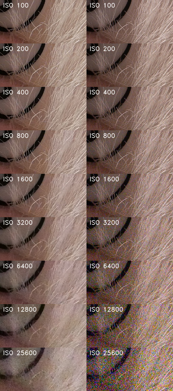 Panasonic Lumix LX100 II: postřehy z praxe