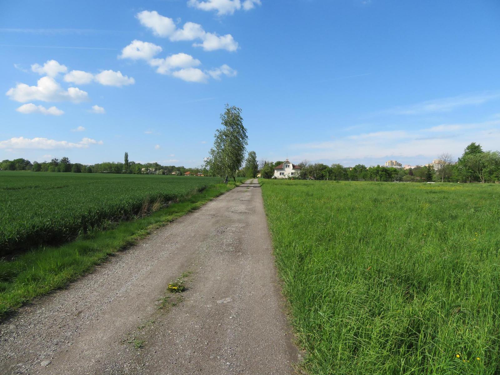 Canon PowerShot SX720 HS: kapesní šmírování