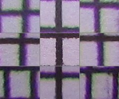 Canon PowerShot SX500 IS: fotící stroj času