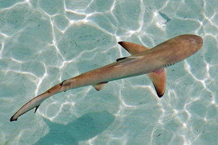 Světlo aneb nástroj každého fotografa - 4. díl