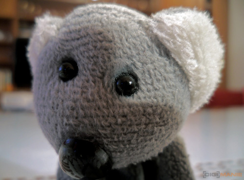 Fotíme s Koalou: Makro a telemakro