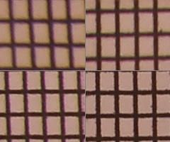 Canon EOS 550D: třídní premiant