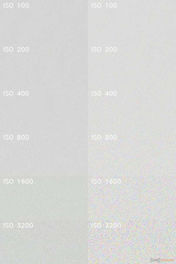 Nikon Coolpix B700: přírodovědec