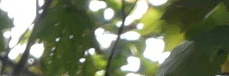 Panasonic Lumix FZ300: opět na špici