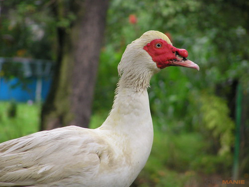 Starý vs. nový aneb megapixely k ničemu?