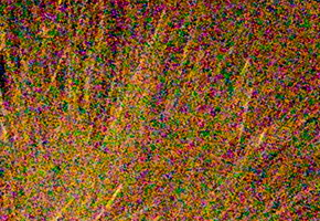 Nikon D5300: bezdrátový DSLR turista