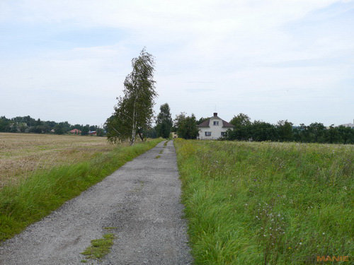 Panasonic Leica DG Summilux 25mm/F1.4 ASPH.